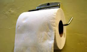 Researcher Finds the Right Way for the Toilet Paper to Roll